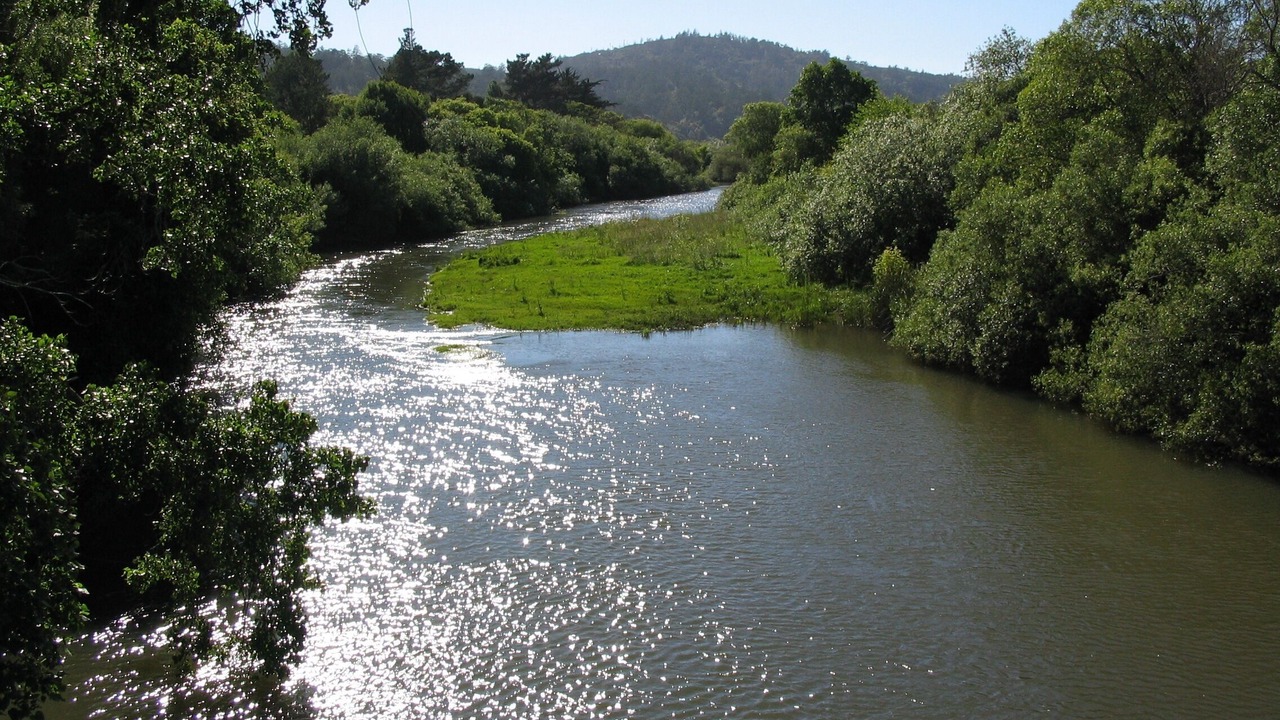 Photo of Others in Point Reyes Station