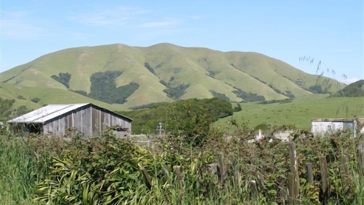 Photo of Others in Point Reyes Station