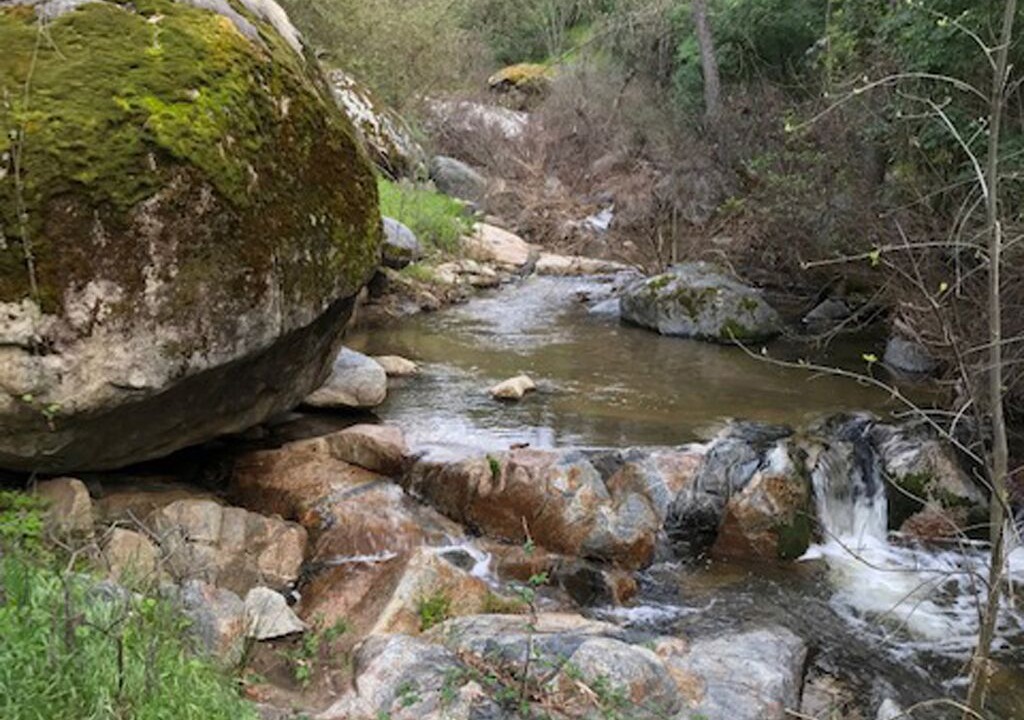 Photo of Outdoor in Three Rivers