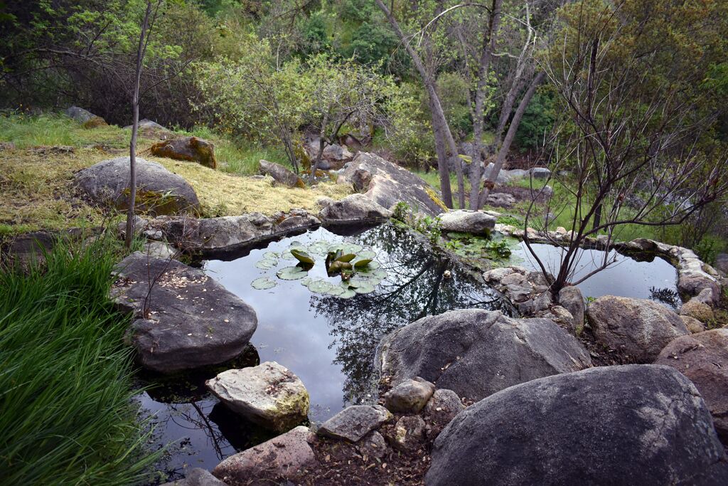 Photo of Outdoor in Three Rivers