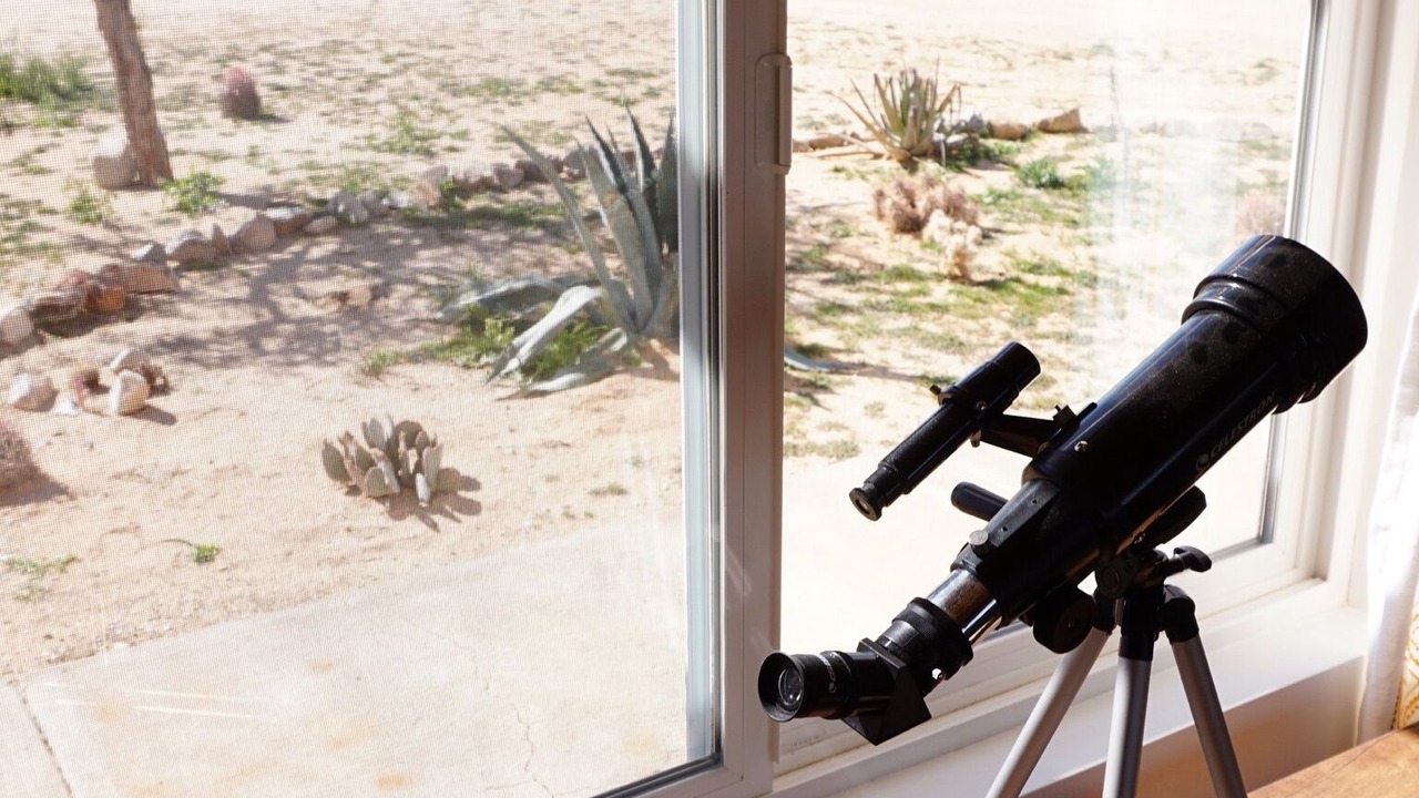Photo of Others in Joshua Tree
