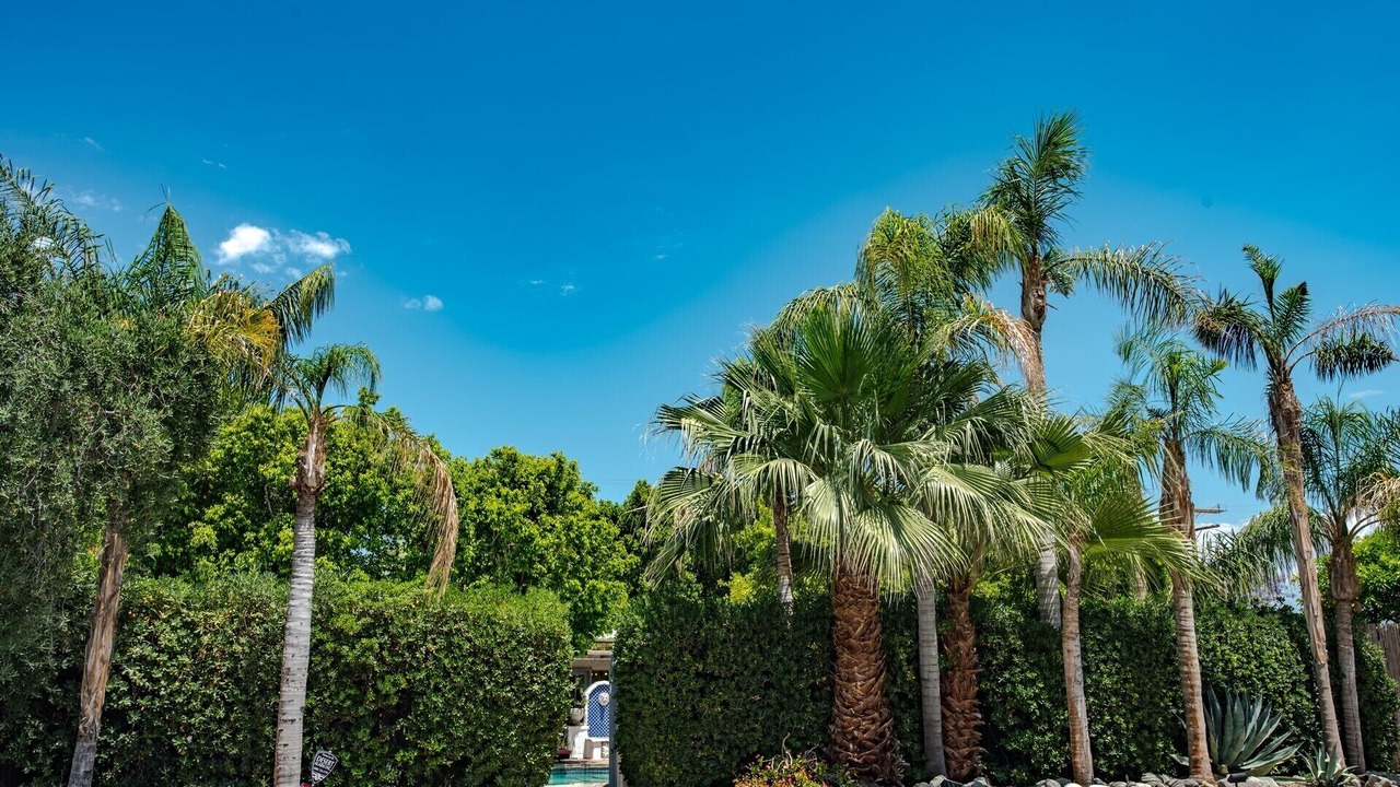 Photo of Outdoor in Palm Desert