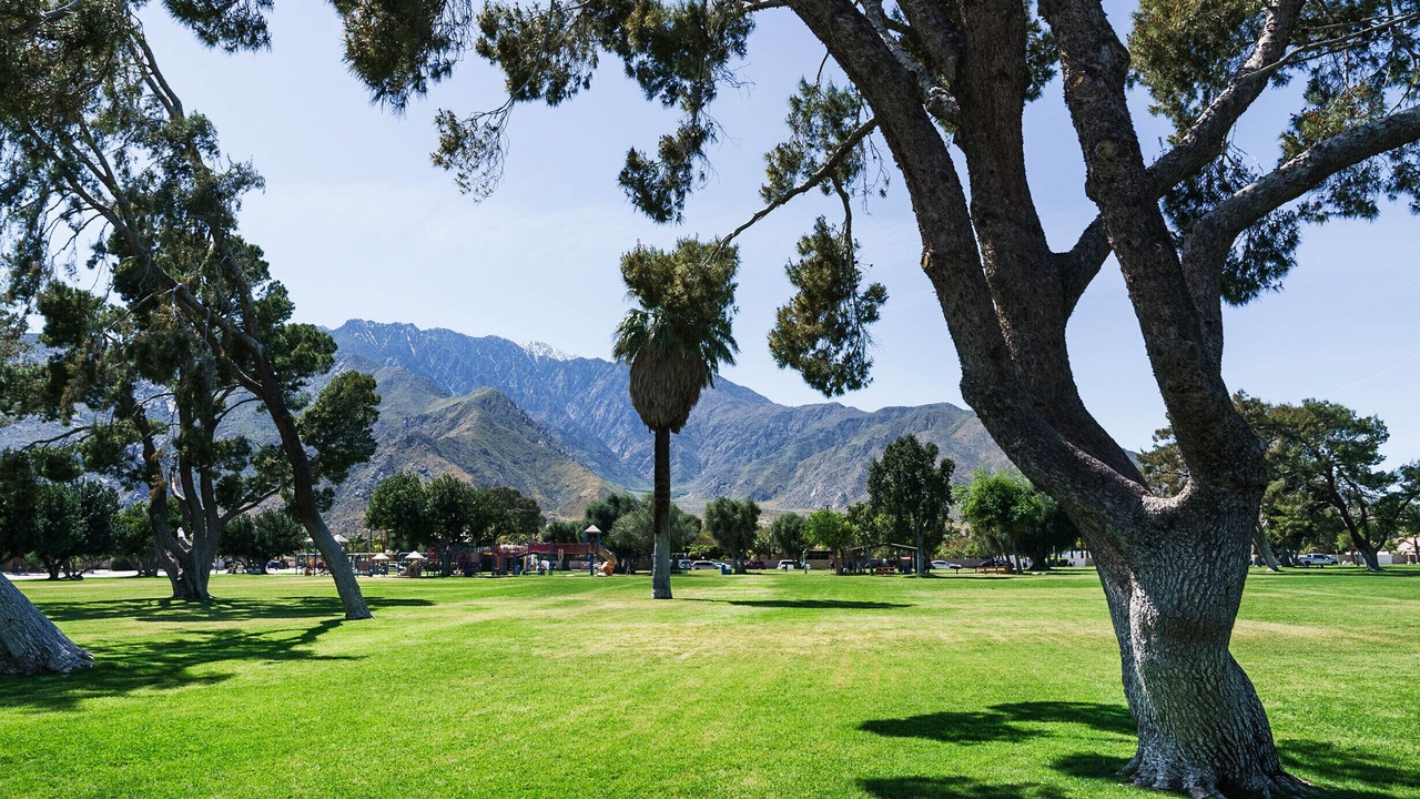 Photo of Outdoor in Racquet Club Estates