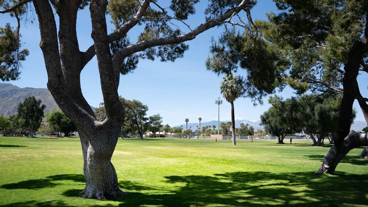 Photo of Others in Racquet Club Estates