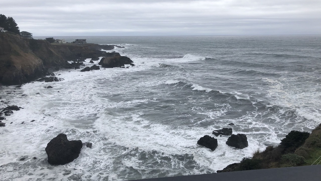 Photo of Others in Shelter Cove