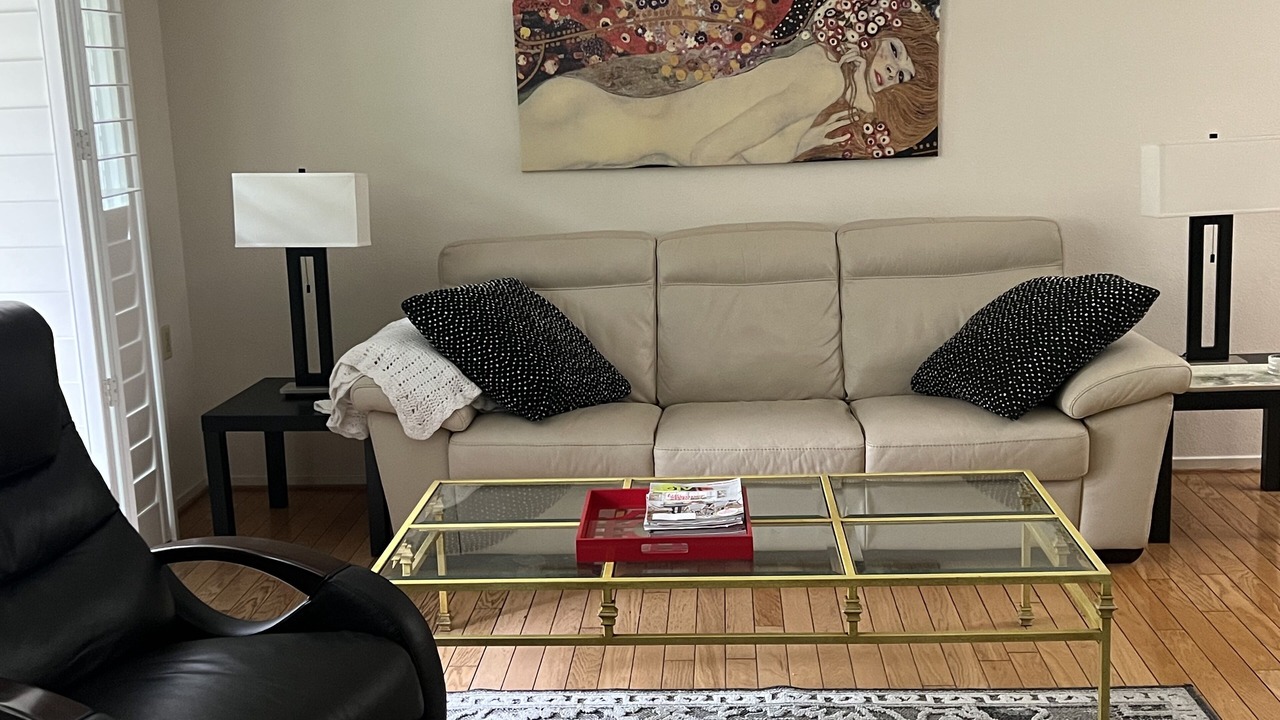 Photo of Livingroom in Laguna Hills
