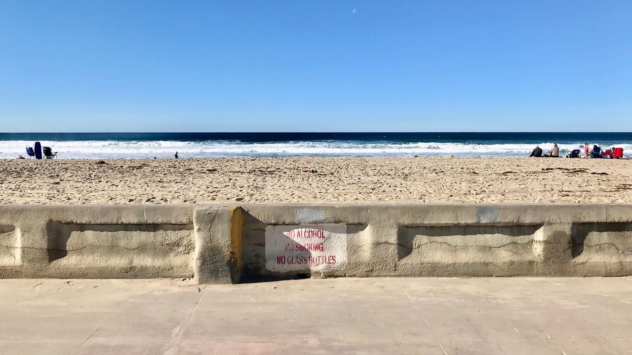 Photo of Others in Mission Beach