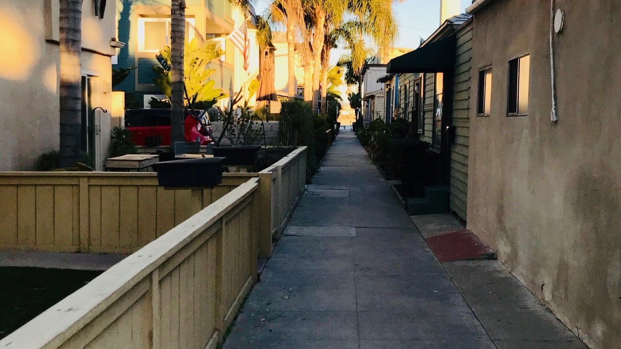 Photo of Others in Mission Beach