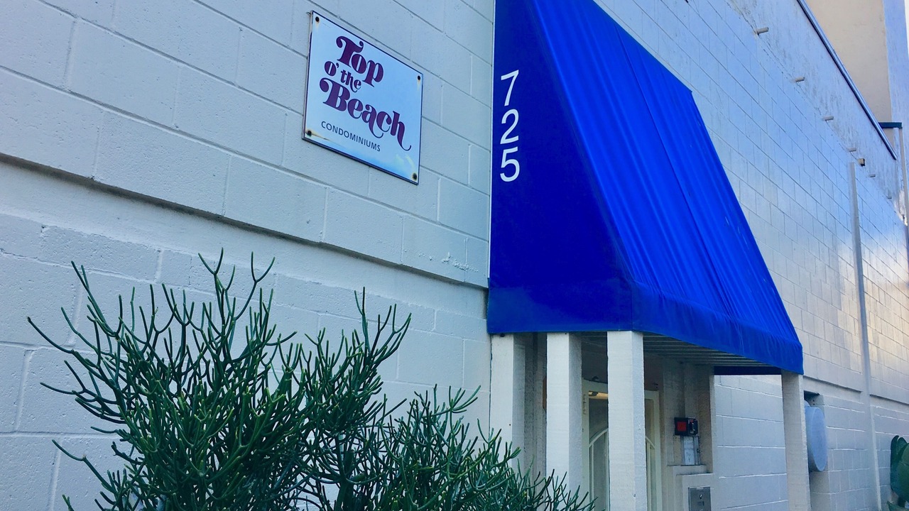 Photo of Others in Mission Beach