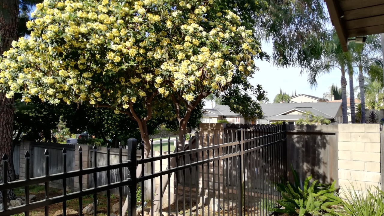 Photo of Outdoor in Rancho Cucamonga