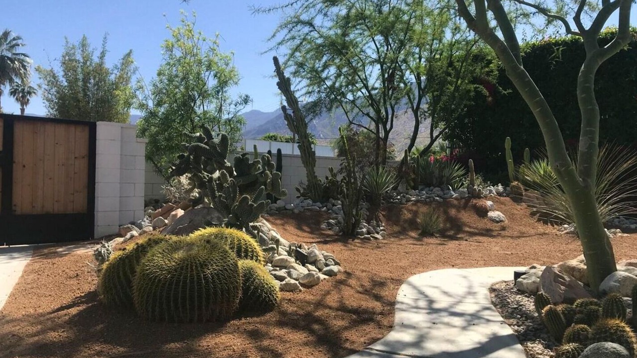 Photo of Outdoor in Tahquitz River Estates