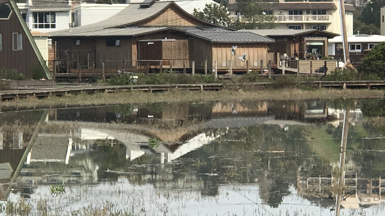 Photo of Outdoor in Larkspur