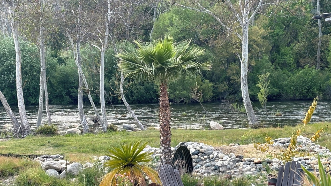 Photo of Outdoor in Three Rivers