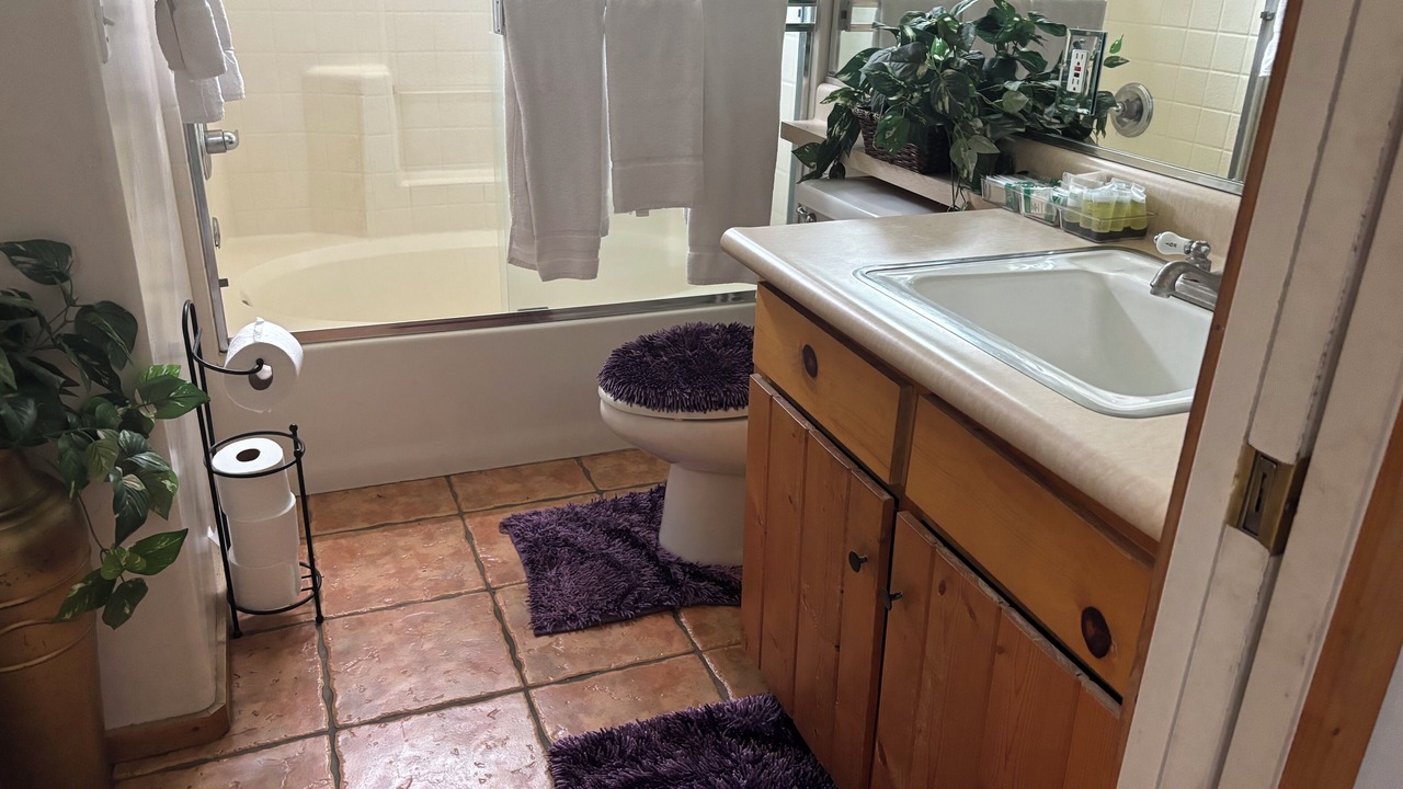 Photo of Bathroom in Three Rivers