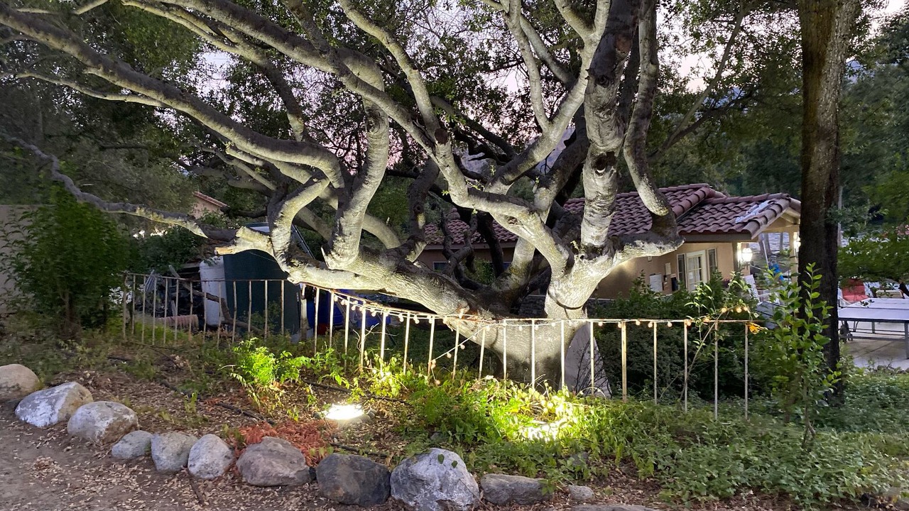Photo of Outdoor in Three Rivers
