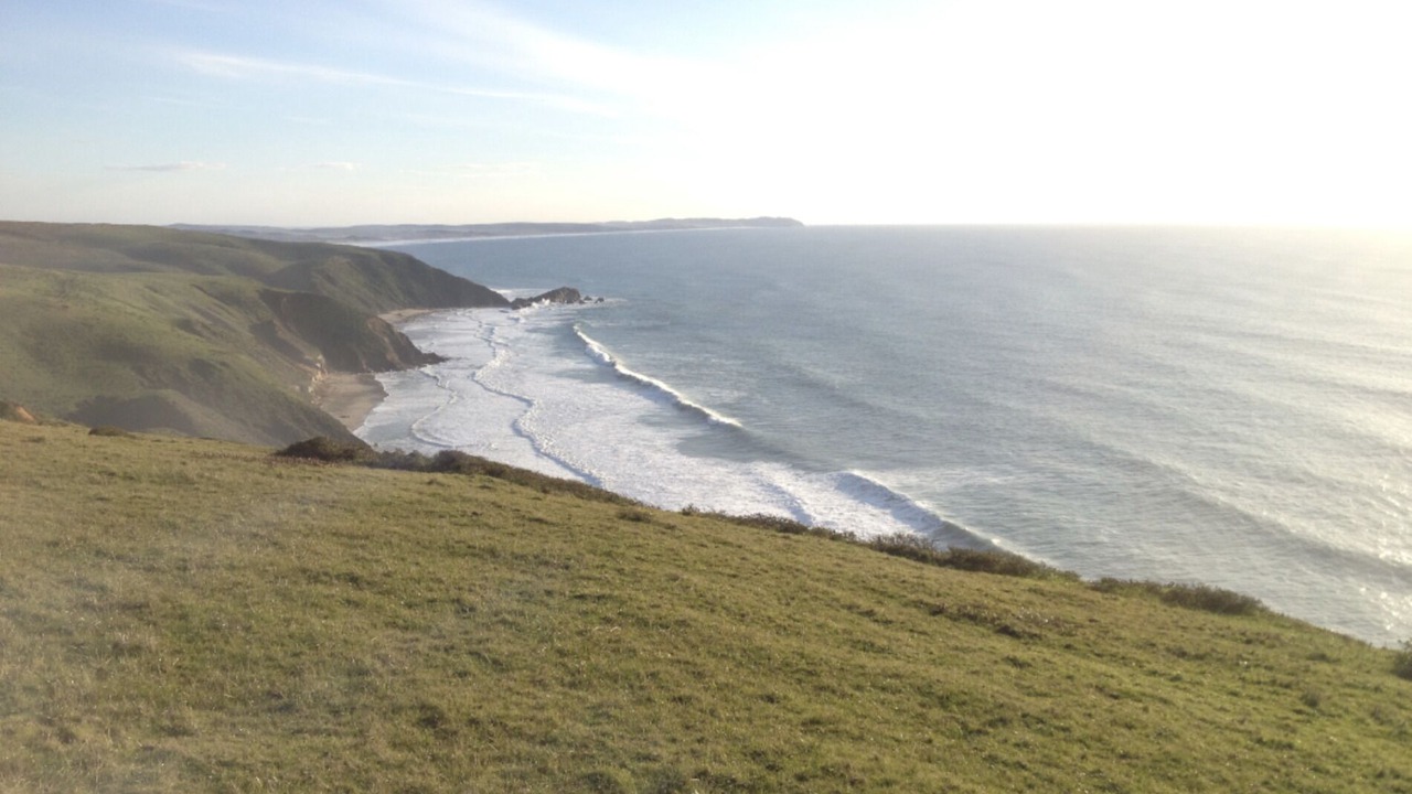 Photo of Others in Point Reyes Station