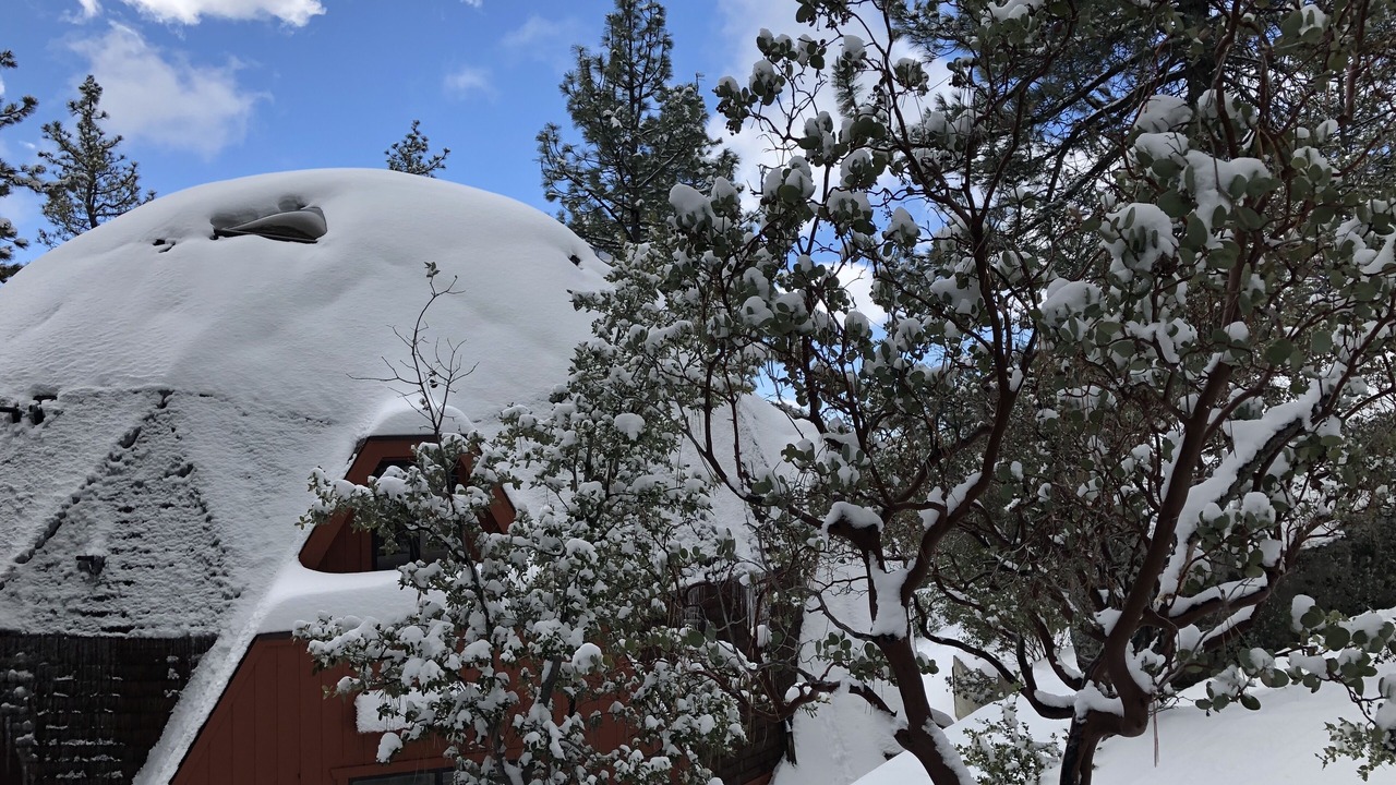 Photo of Others in Idyllwild
