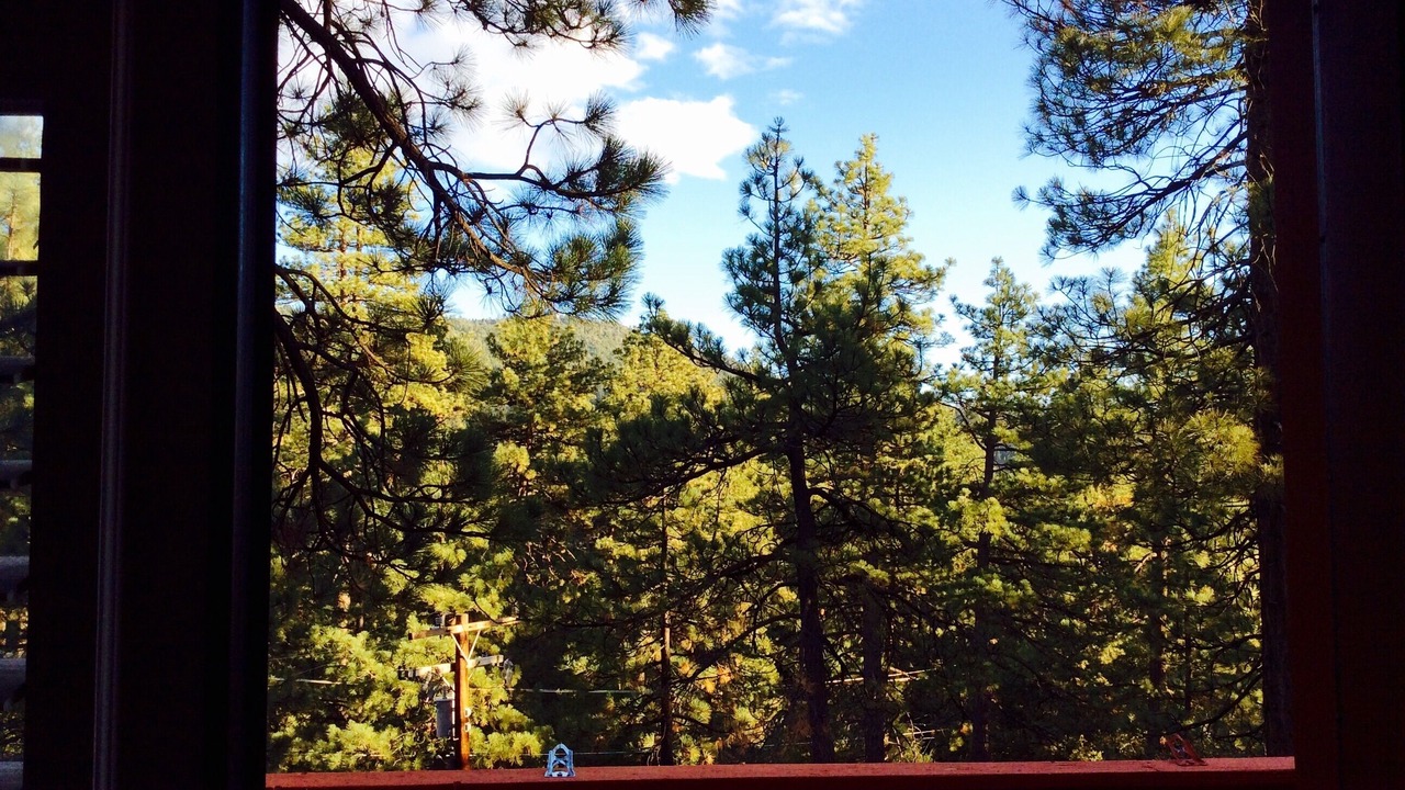 Photo of Bedroom in Idyllwild