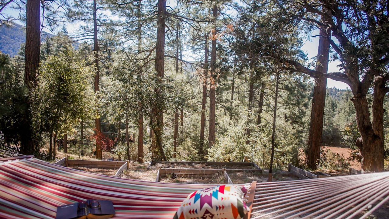 Photo of Others in Idyllwild