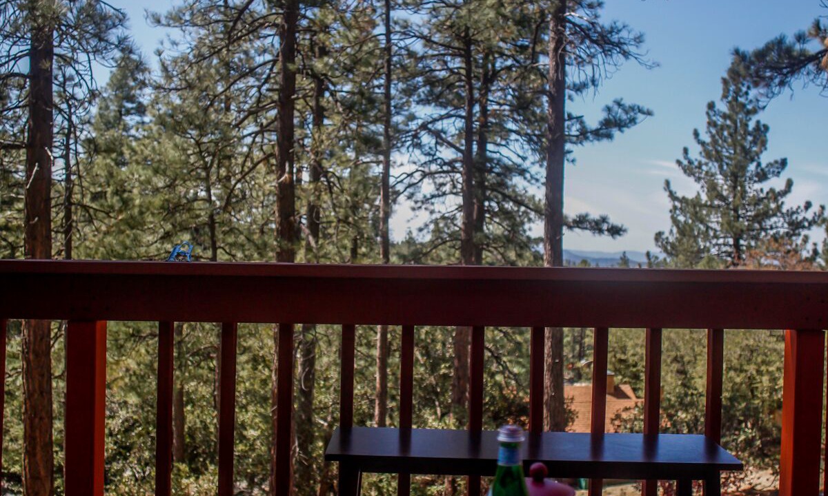 Photo of Others in Idyllwild