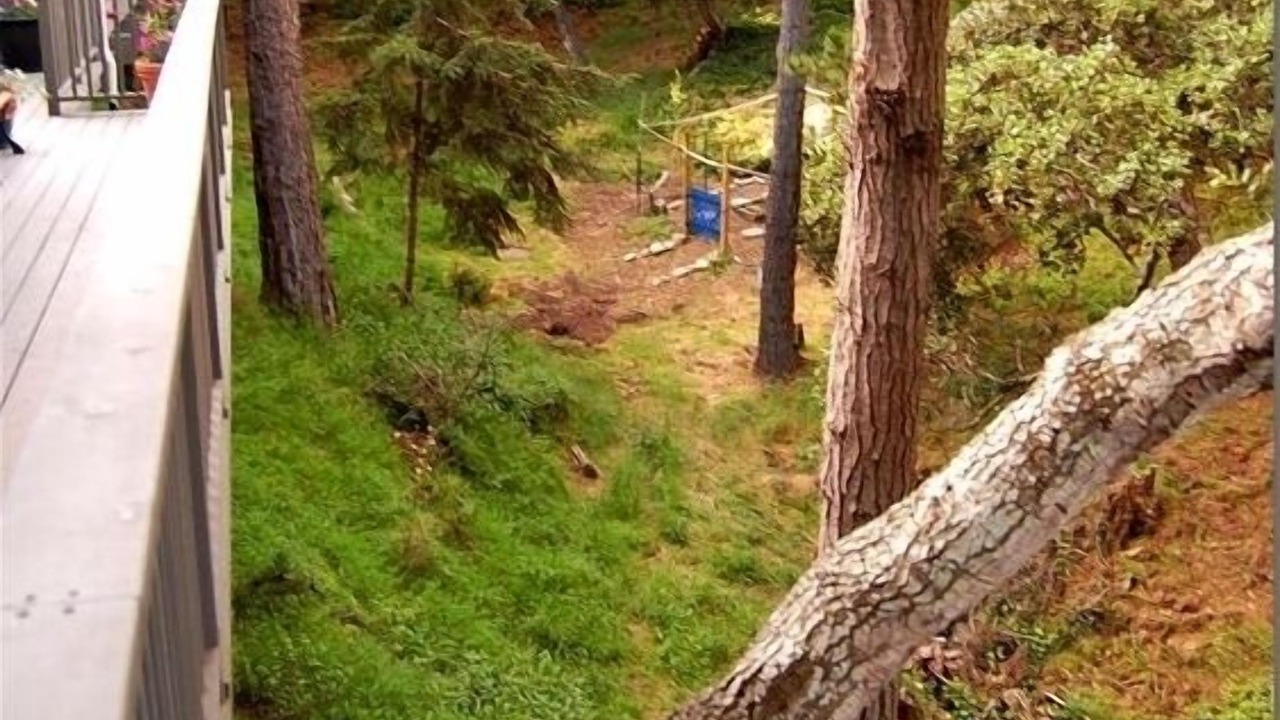 Photo of Outdoor in Carmel
