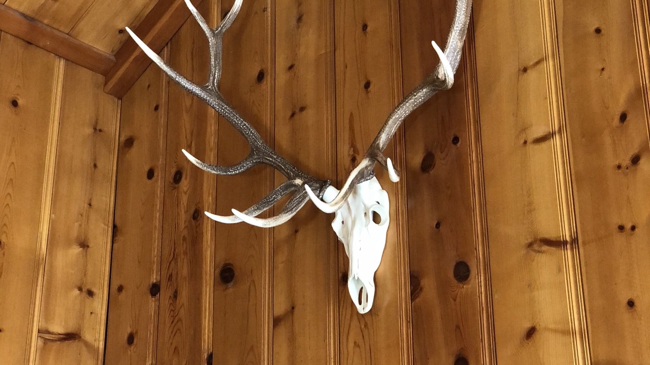 Photo of Others in Idyllwild