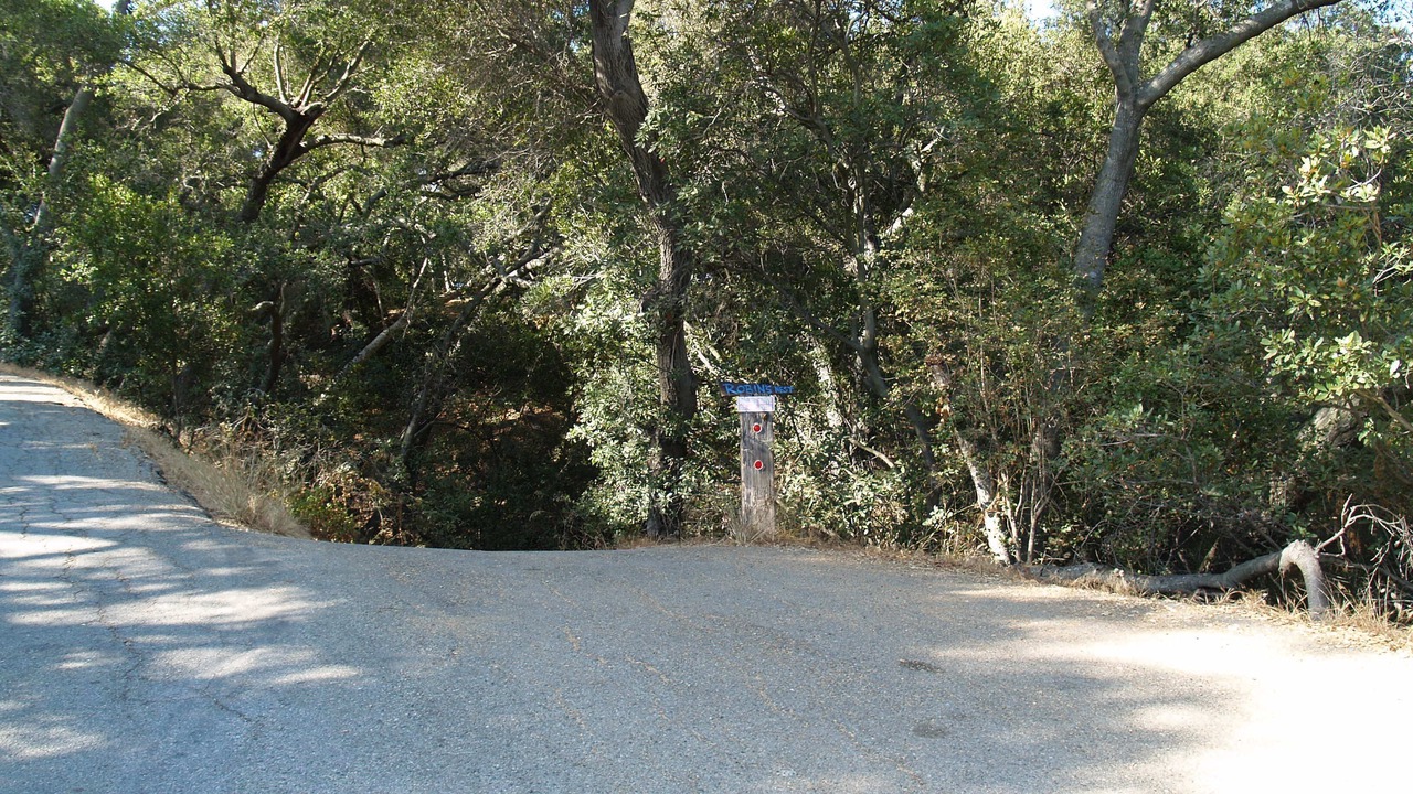 Photo of Outdoor in Topanga