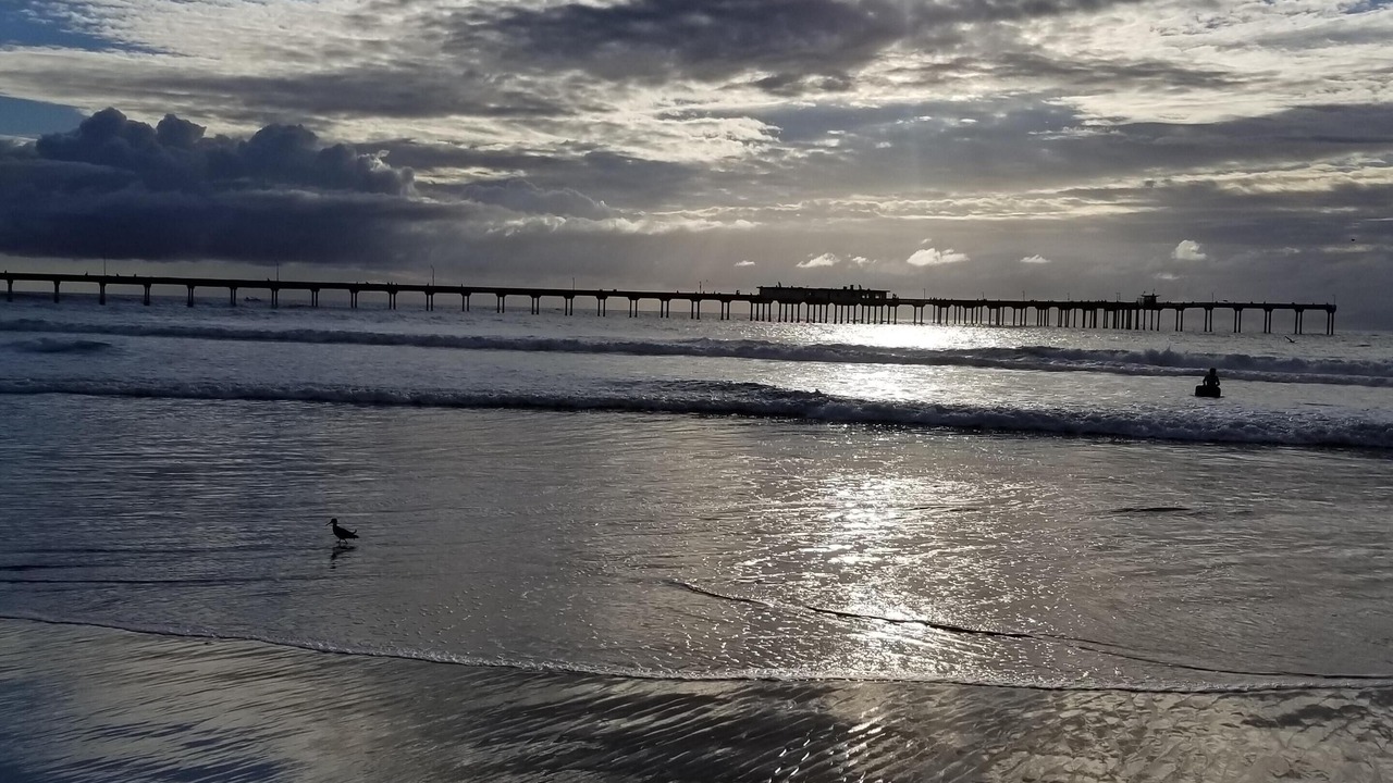 Photo of Others in Ocean Beach