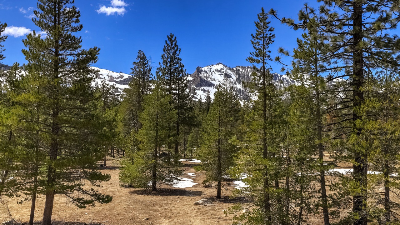 Photo of Others in Tahoe Paradise