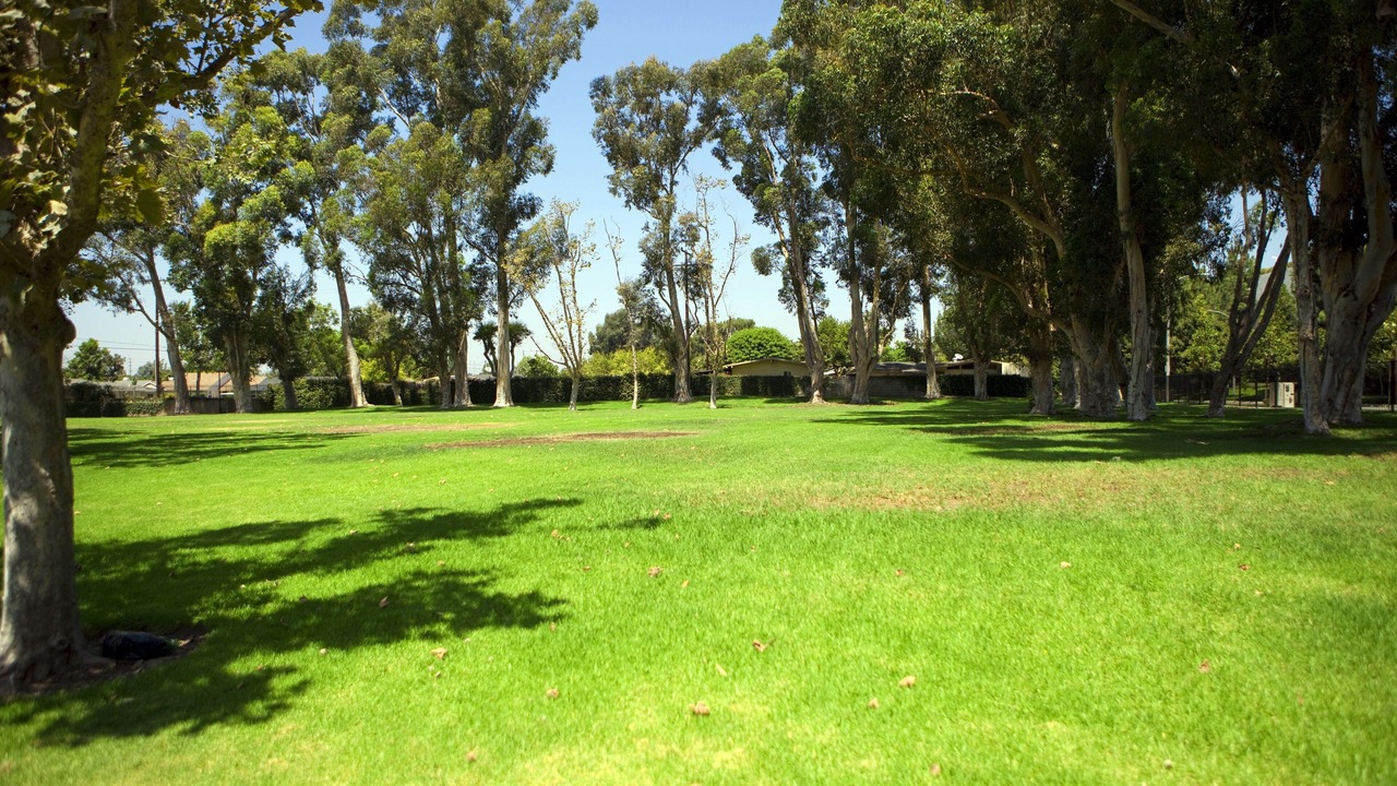 Photo of Others in Hermosa Village