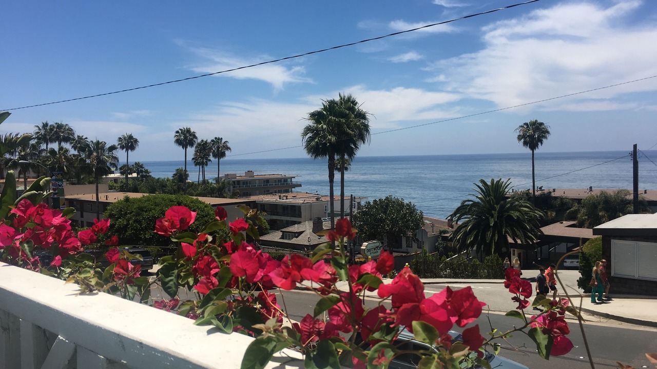 Photo of Others in Laguna Beach