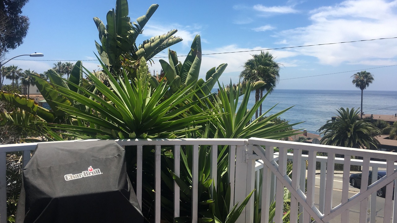 Photo of Others in Laguna Beach
