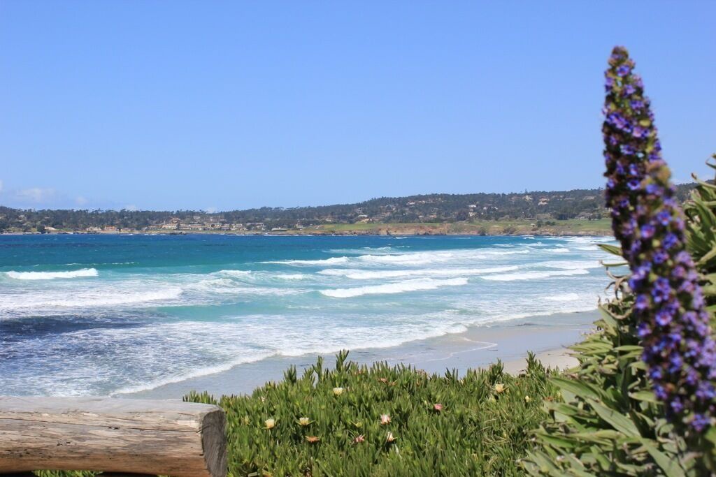 Photo of Others in Carmel Point