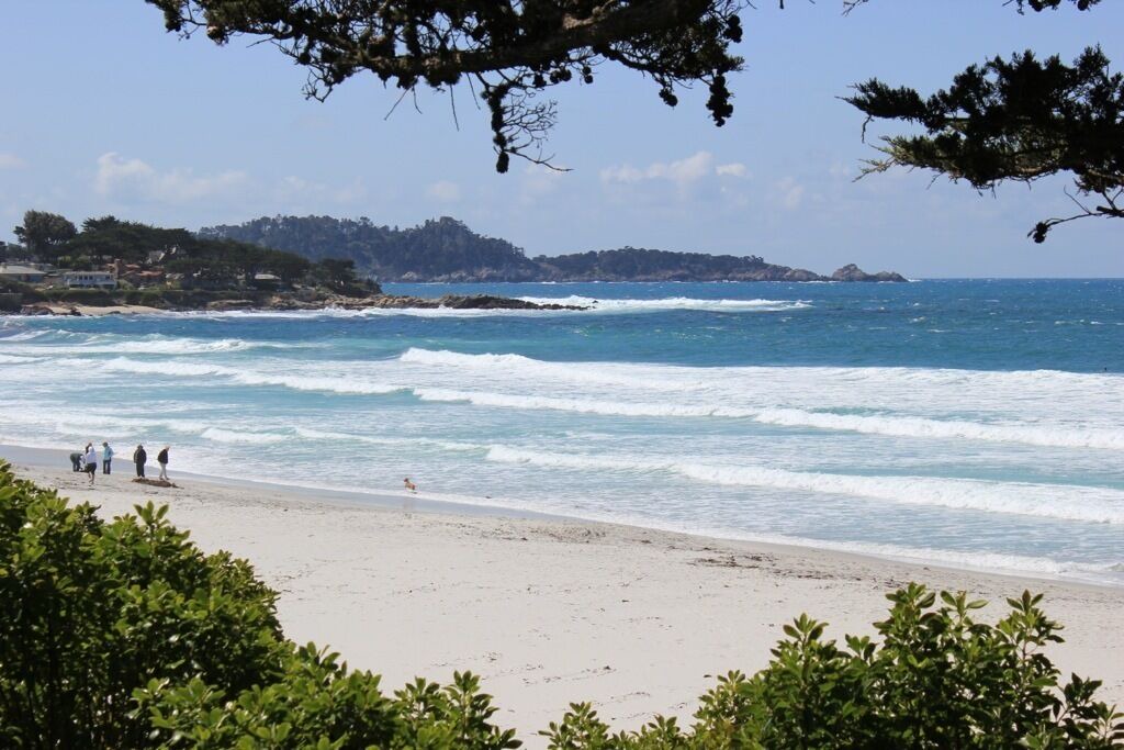 Photo of Others in Carmel Point