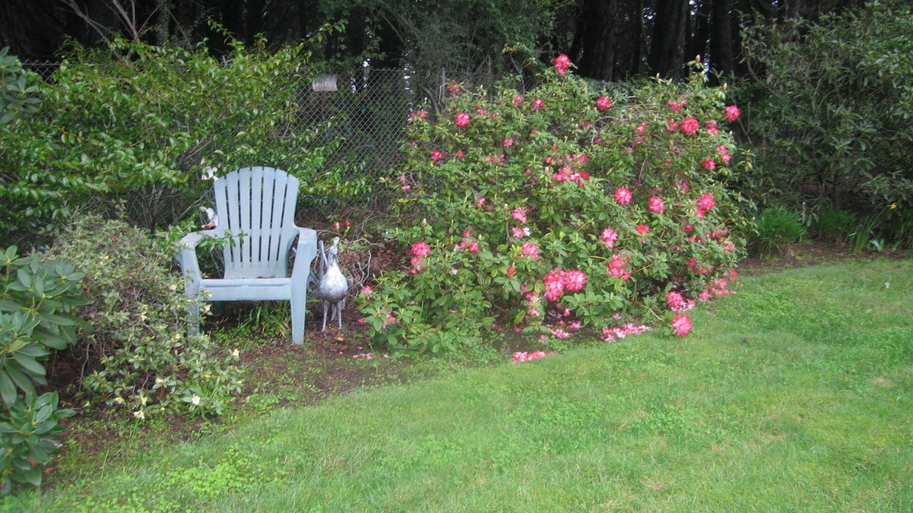 Photo of Others in Mendocino