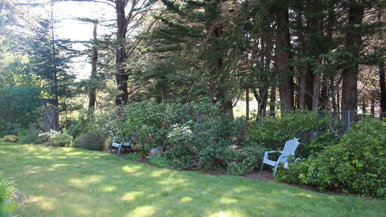 Photo of Others in Mendocino