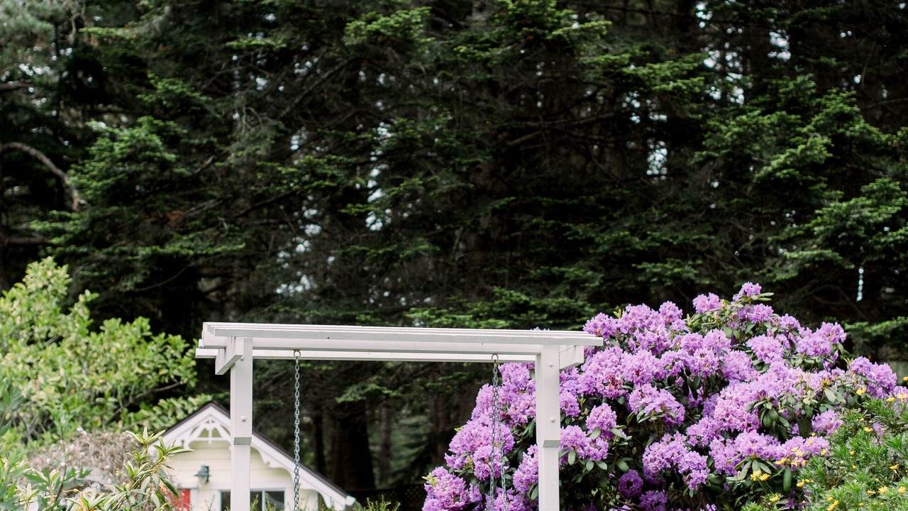 Photo of Others in Mendocino