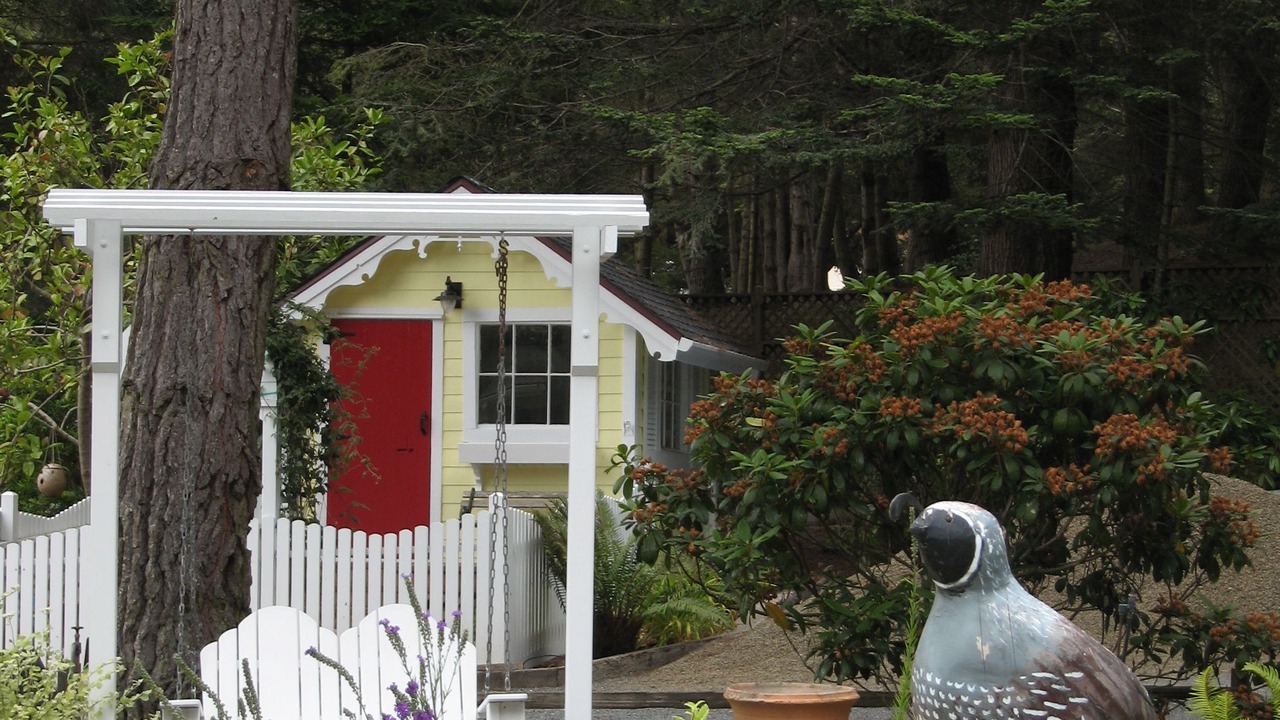 Photo of Outdoor in Mendocino