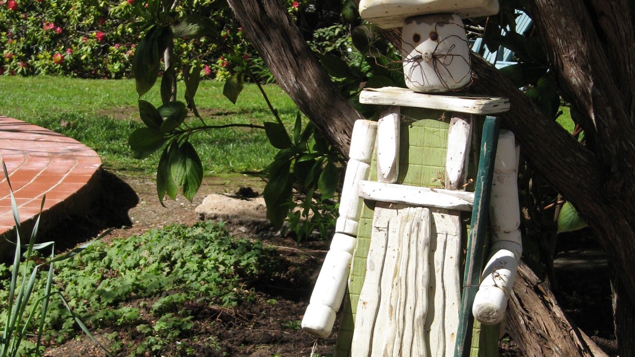 Photo of Outdoor in Mendocino