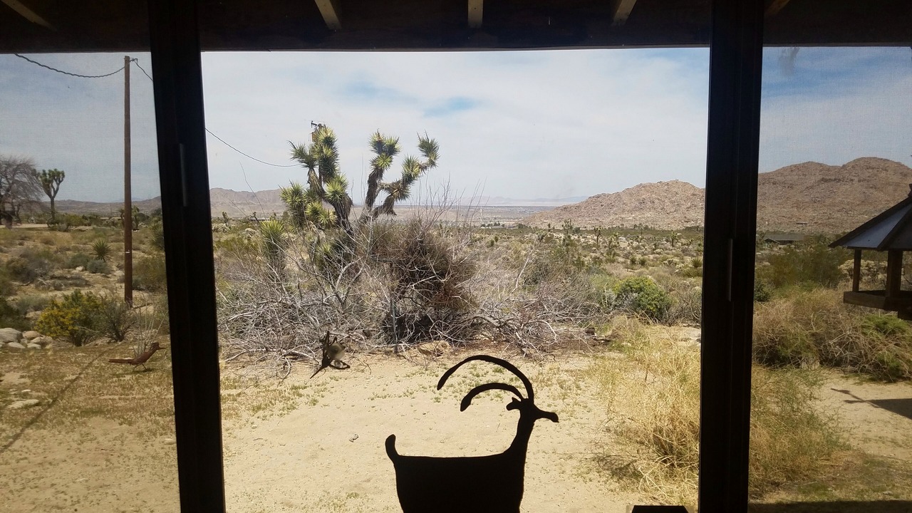 Photo of Others in Joshua Tree Highlands