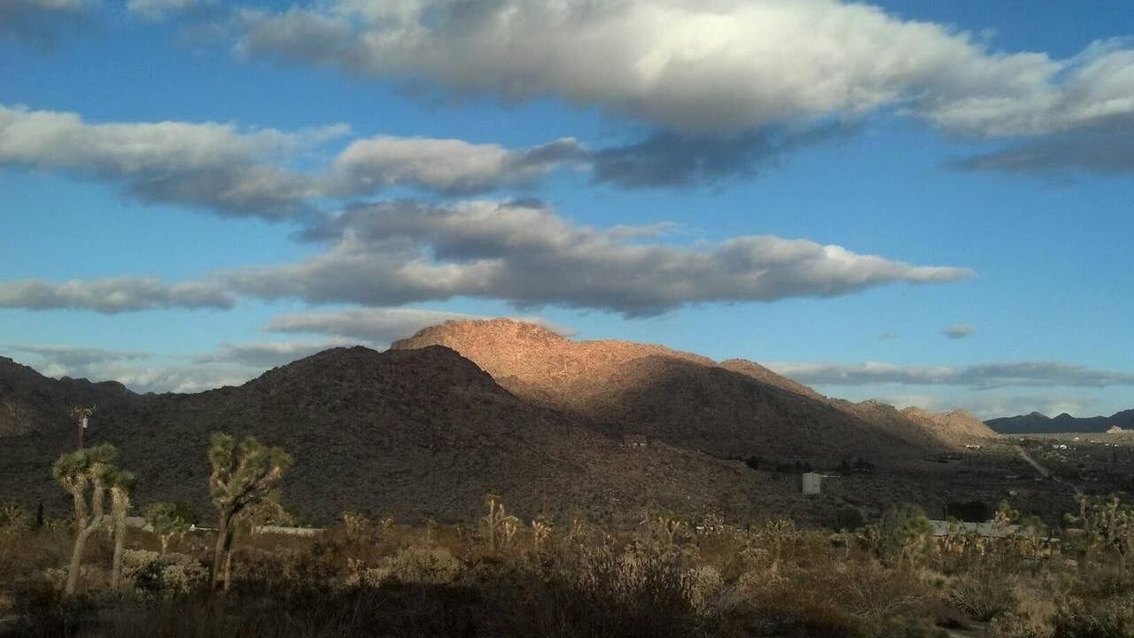 Photo of Others in Joshua Tree Highlands