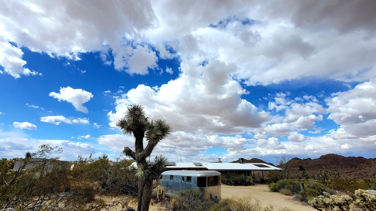 Photo of Others in Joshua Tree Highlands