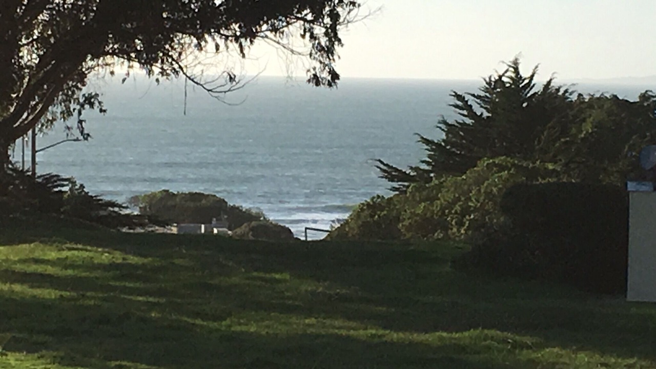 Photo of Others in La Selva Beach