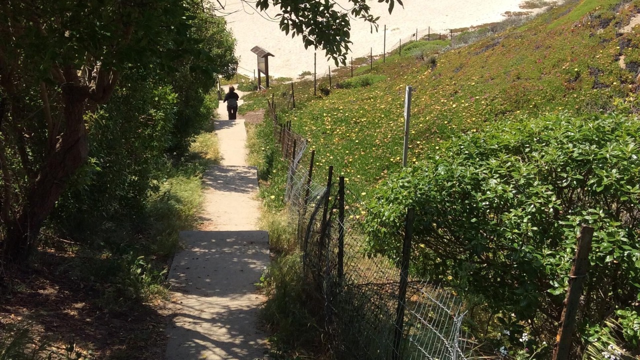 Photo of Others in La Selva Beach