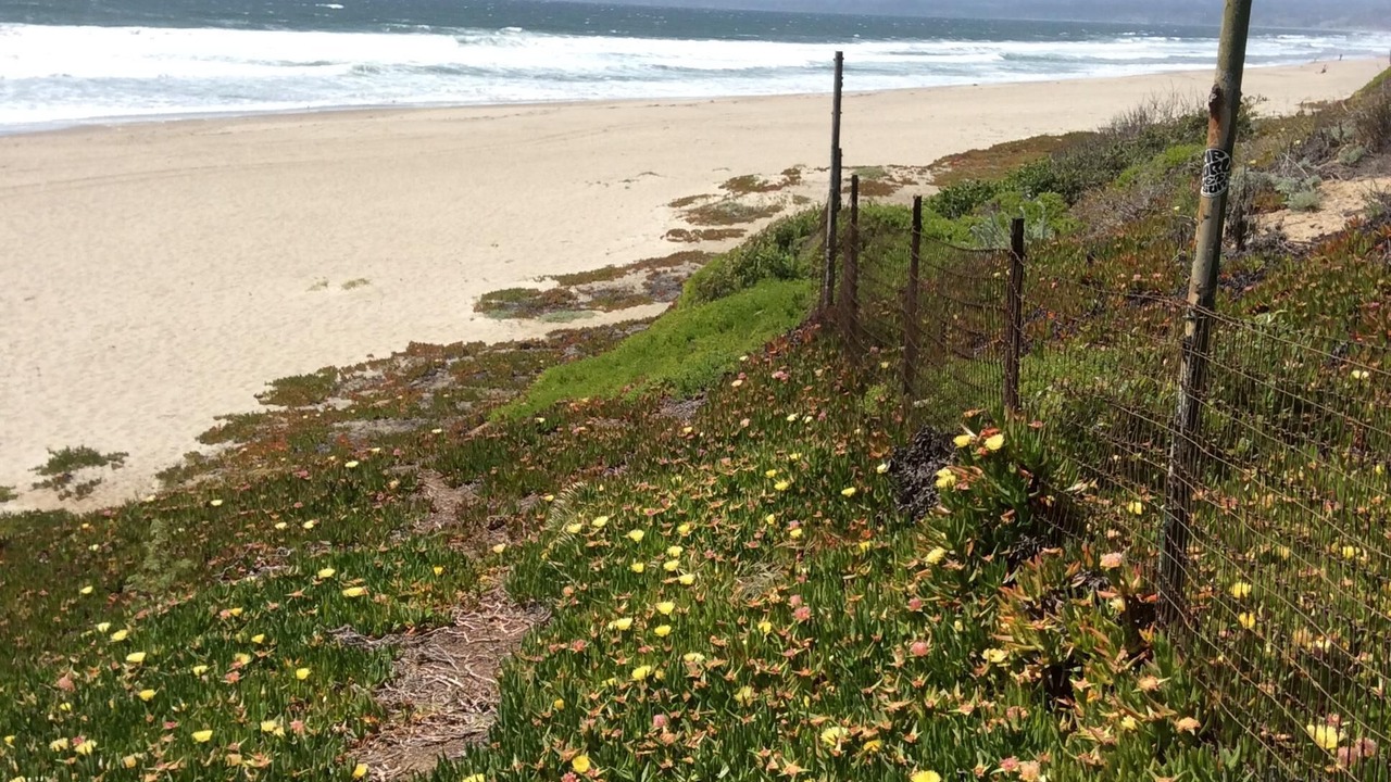 Photo of Others in La Selva Beach