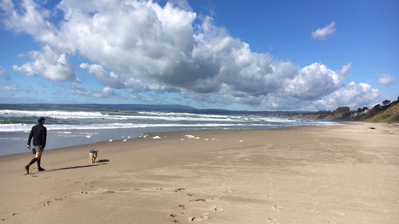 Photo of Others in La Selva Beach