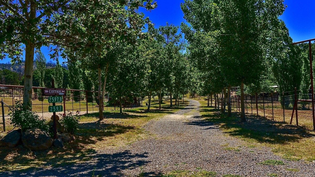 Photo of Others in Catheys Valley