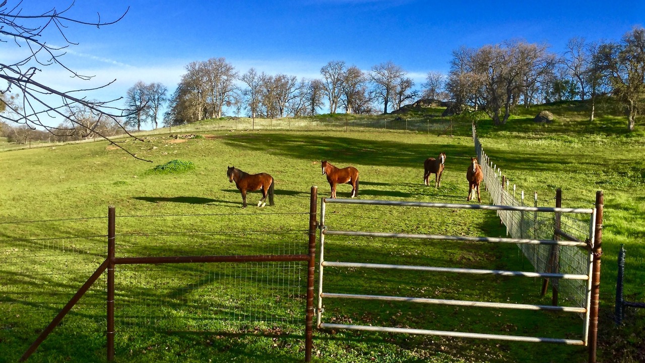 Photo of Others in Catheys Valley