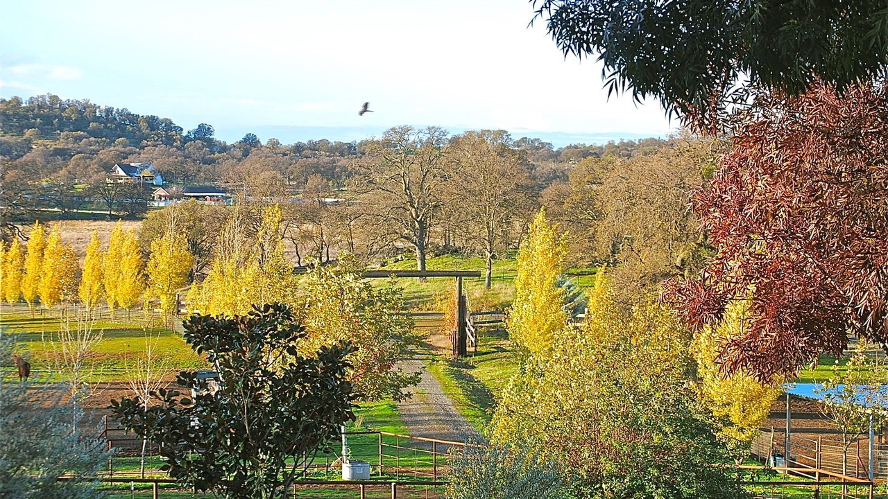 Photo of Others in Catheys Valley
