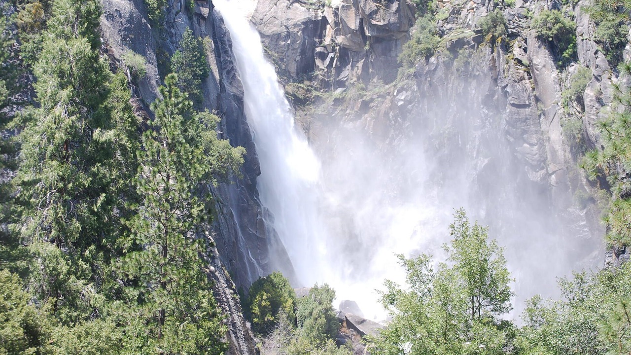 Photo of Others in Catheys Valley